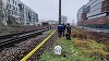 Timişoara: Bărbat mort, găsit pe calea ferată/ A fost surprins de o locomotivă/ Poliţiştii au deschis dosar penal - FOTO
