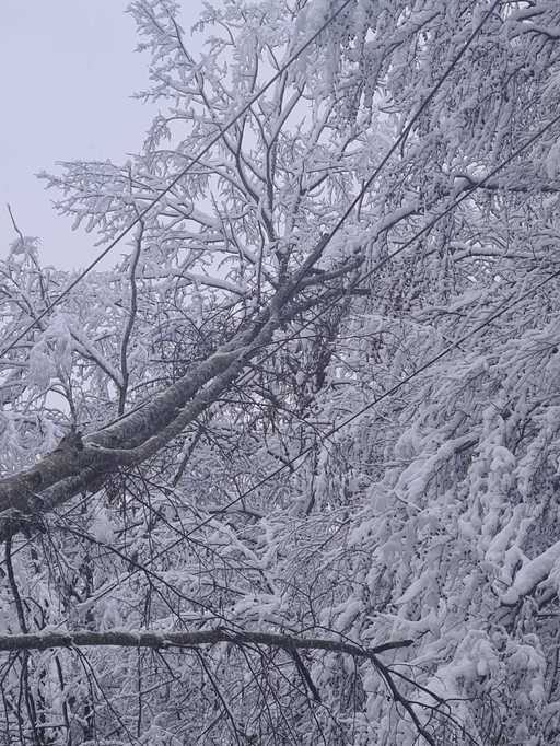 Prahova: Peste 14:000 de consumatori din 21 de localităţi, fără alimentare cu energie electrică