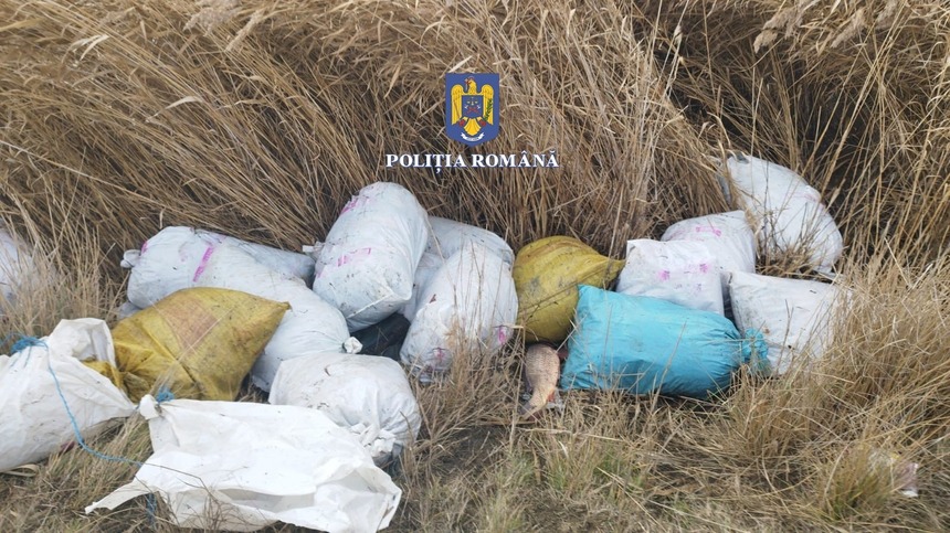 Aproape 300 de kilograme de peşte, confiscate de poliţişti, în urma unei razii în Delta Dunării / Două persoane sunt cercetate