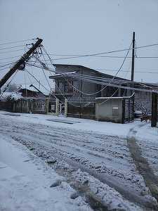 Bihor: Un drum naţional blocat, copaci şi stâlpi de electricitate căzuţi şi sute de familii fără curent electric în urma ninsorilor. Pe DN 75 sunt condiţii de producere a unor avalanşe
