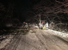 UPDATE - Bihor: Un drum naţional blocat, copaci şi stâlpi de electricitate căzuţi şi sute de familii fără curent electric în urma ninsorilor. Pe DN 75 sunt condiţii de producere a unor avalanşe  - VIDEO
