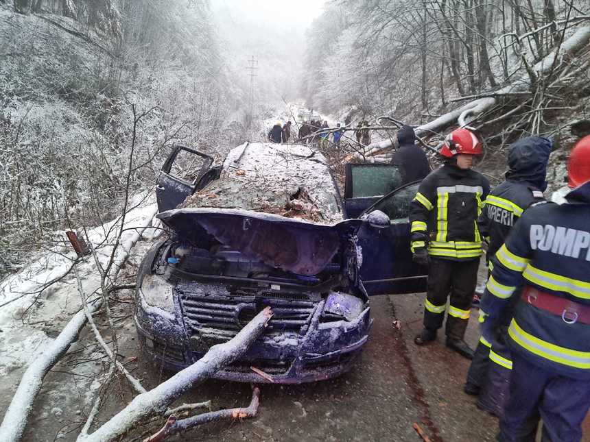 Caraş-Severin: Adolescent de 14 ani mort după ce un copac a căzut peste maşina în care se afla - FOTO