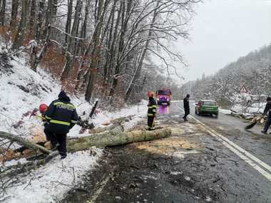 IGSU anunţă intervenţii în opt judeţe, sâmbătă, pentru degajarea de copaci căzuţi din cauza condiţiilor meteo / Mii pompieri, pregătiţi să intervină în perioada care urmează 
