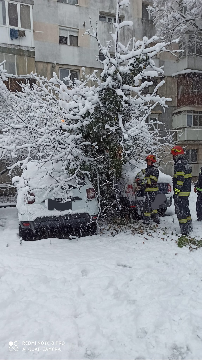 Mai multe maşini din Craiova au fost avariate după ce trei copaci au căzut  - FOTO
