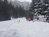 Avalanşă în Făgăraş - Aproximativ 60 de persoane, blocate la cabana Capra / Drumul  către cabană e închis iarna pentru autoturisme / Pompieri din patru judeţe - Argeş, Olt, Dâmboviţa  şi Vâlcea, intervin cu şenilate pentru evacuarea turiştilor