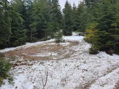 Cinci proprietari de ATV-uri, motociclete şi maşini de teren, amendaţi pentru accesul cu mijloace motorizate în Parcul Natural Apuseni

