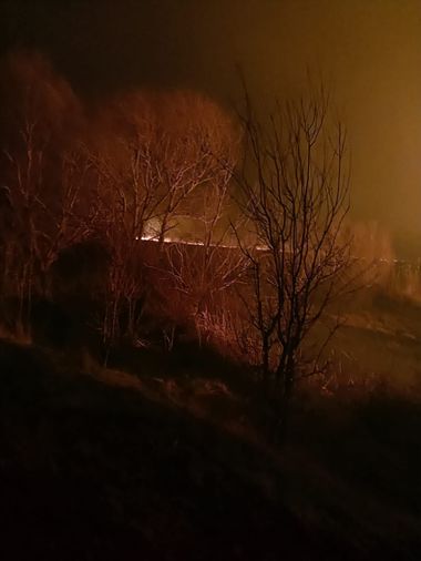Incendiu de vegetaţie în Delta Dunării, în apropiere de Sulina / Suprafaţa afectată ar fi de 150 de hectare - FOTO / VIDEO
