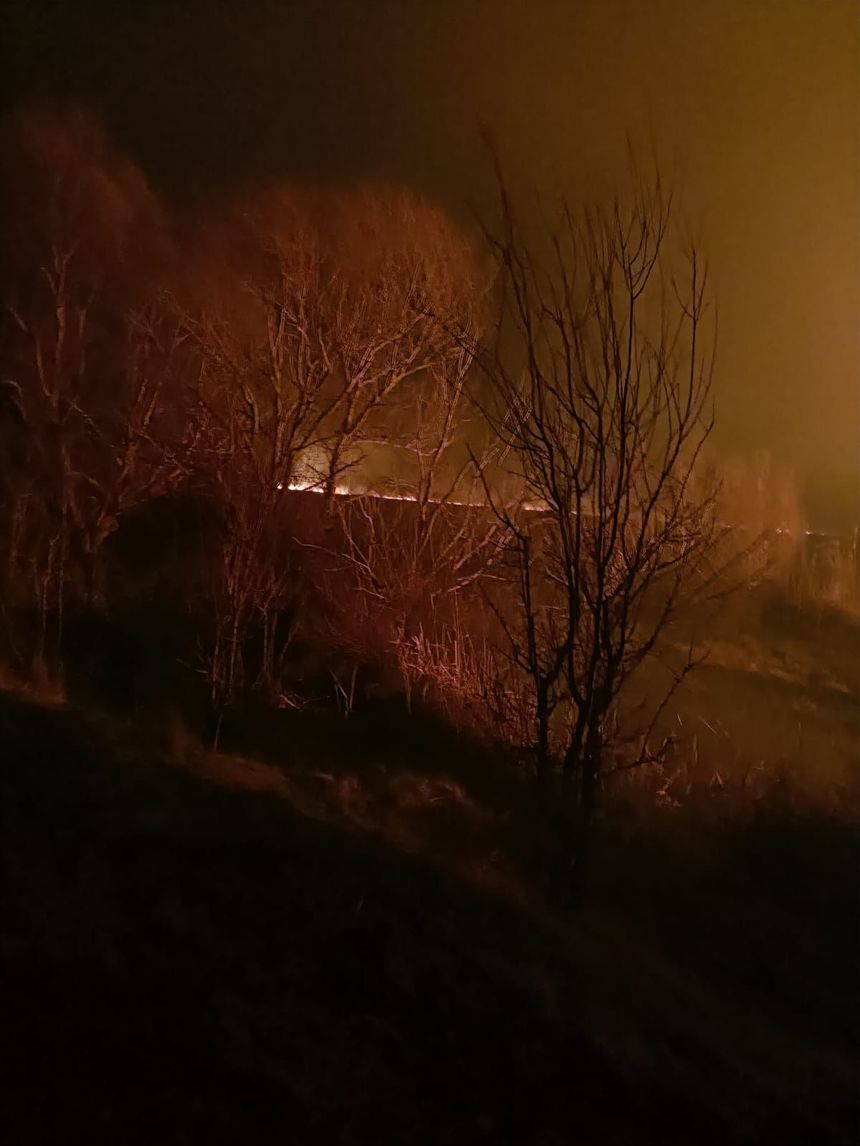 Incendiul din Delta Dunării se manifestă cu o intensitate scăzută, într-o zonă inundabilă/ Pompierii au reuşit să oprească extinderea focarelor către gospodării
