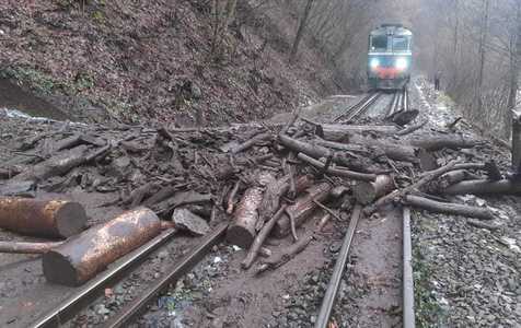 Maramureş: Aluviuni şi copaci pe calea ferată/ Două trenuri au staţionat până la eliberarea căii ferate - FOTO