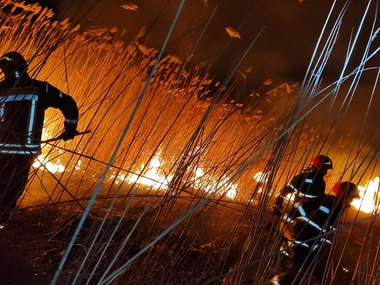 Teleorman: Incendiu de vegetaţie uscată şi stufăriş, în apropierea unui drum judeţean / Fumul a ajuns la carosabil
