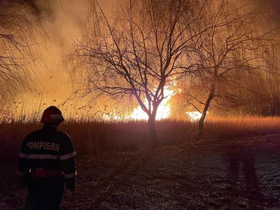 Tulcea: Incendiu de vegetaţie uscată şi stuf în apropiere de Murighiol / Focul se manifestă pe o suprafaţă de 20 de hectare într-o zonă inaccesibilă pentru maşinile de pompieri