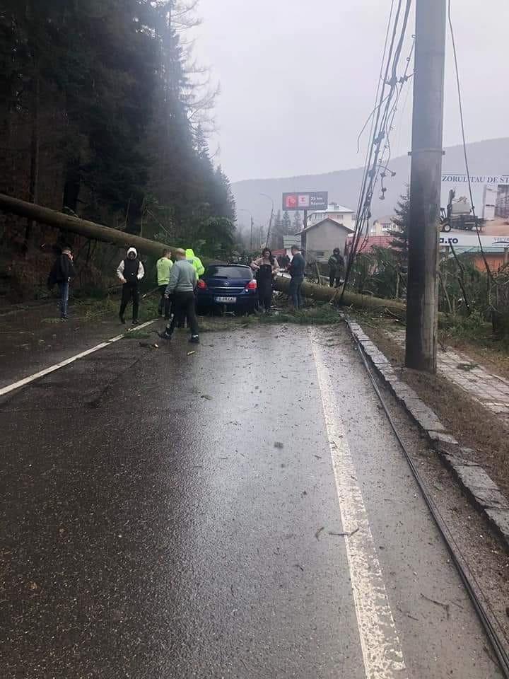 UPDATE - DN 1, blocat pe Valea Prahovei, la Azuga, după ce un copac a căzut peste o maşină în care se aflau două persoane / Femeia de la volan şi un pasager, la spital / Ambii au suferit traumatisme cranio-cerebrale / Circulaţia a fost reluată - FOTO

