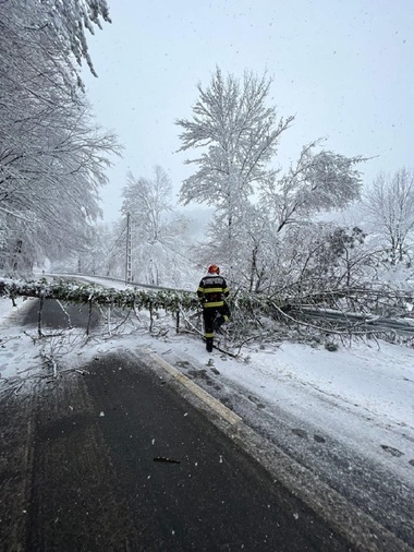 Bihor: Intervenţii ale pompierilor în cinci localităţi pentru îndepărtarea copacilor căzuţi pe carosabil. În comuna Budureasa, şapte arbori s-au prăbuşit - FOTO
