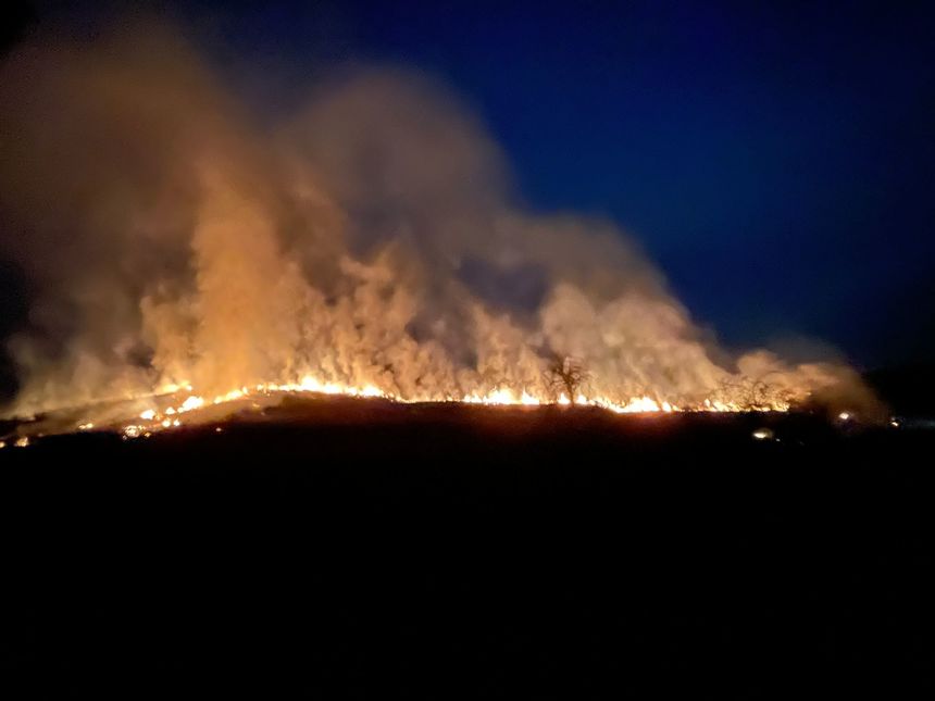 Hunedoara: Pompierii, chemaţi să stingă mai multe incendii de vegetaţie uscată / Suprafaţa afectată a depăşit 15 hectare / Incendiile, provocate de arderea intanţionată a resturilor