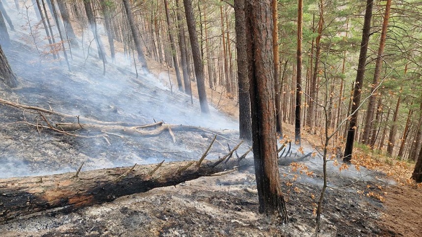 Bacău: Un incendiu izbucnit la un ocol silvic privat, lichidat după patru zile / Zeci de pompieri şi lucrători silvici au participat la acţiune - FOTO
