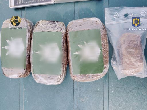 Unsprezece persoane care au campat într-o zonă din Vâlcea, prinse cu droguri/ Două dintre acestea au fost arestate preventiv 
