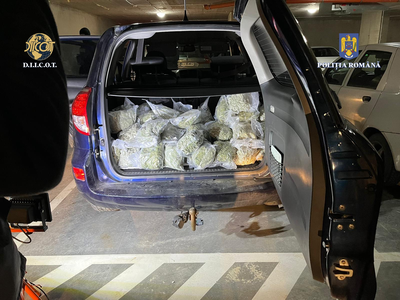 Zeci de kilograme de stupefiante şi sute de mii de lei găsite la traficanţi de droguri din Cluj. Trei bărbaţi au fost arestaţi preventiv - FOTO
