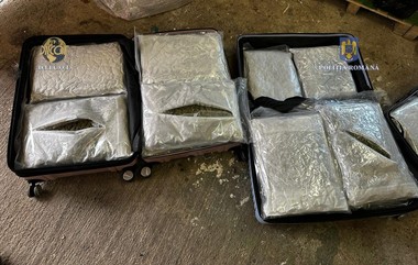 Timiş: Colet cu nouă kilograme de cannabis, trimis din Spania printr-o firmă de curierat. Un bărbat şi o femeie, arestaţi după ce au fost prinşi ridicând coletul
