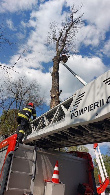 Arad: Intervenţie a pompierilor pentru a salva un bărbat care a rămas blocat în nacelă, în timp ce toaleta arbori - FOTO
