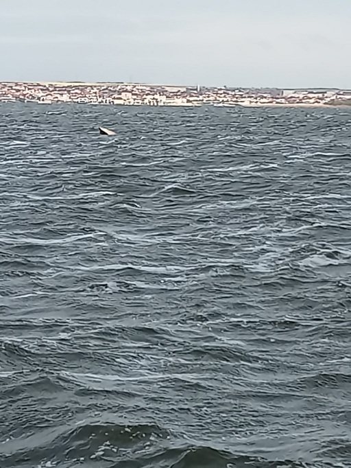 UPDATE - Pompierii, solicitaţi să intervină după ce o barcă pescărească s-a scufundat pe jumătate în Lacul Siutghiol din Mamaia / Barca a fost adusă la ţărm - FOTO, VIDEO
