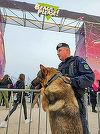 Constanţa: 125 de persoane au fost depistate cu droguri asupra lor la festivalurile de pe litoral în ultimele patru zile
