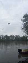 Barca răsturnată pe Mureş - Un voluntar cu o aeronavă uşoară a venit în sprijinul pompierilor/ Echipele de căutare-salvare vor reveni joi pe râu
