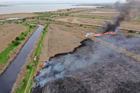 UPDATE - Incendiu de vegetaţie uscată în Tulcea/ Suprafaţa afectată este de 40 de hectare/ Incendiul, stins după mai bine de patru ore - FOTO, VIDEO