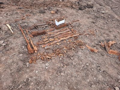 Peste 1.200 de cartuşe, descoperite pe un teren agricol din judeţul Sibiu