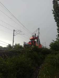 UPDATE - Copac prăbuşit pe liniile ferate, între staţiile CFR Buftea şi Periş /  Trenul şi-a reluat circulaţia, tractat cu locomotivă Diesel
