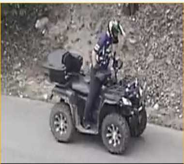 Gorj: Poliţia face apel la populaţie pentru identificarea unui bărbat care a abandonat în faţa unei case trei pui de câine - FOTO