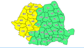 Cod galben de furtuni, în Banat, Crişana, Maramureş, vestul Transilvaniei, vestul şi nordul Olteniei

