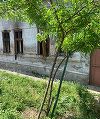UPDATE - Arad: Incendiu la o casă, după ce a explodat o butelie / Un bărbat are arsuri la membre şi piept / Cauza deflagraţiei