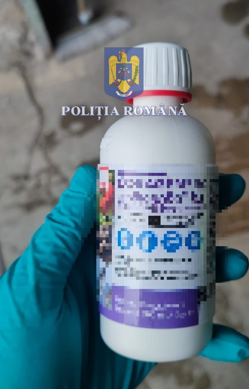 Timişoara - Cinci persoane bănuite de trafic de substanţe toxice, depistate în flagrant delict în timp ce încercau să vândă peste 4.400 de flacoane de insecticid furate din Italia - FOTO