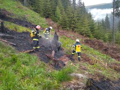 Incendiu pe Muntele Deleanu, în judeţul Dâmboviţa. Au ars resturi rămase de la exploatarea pădurii - VIDEO
