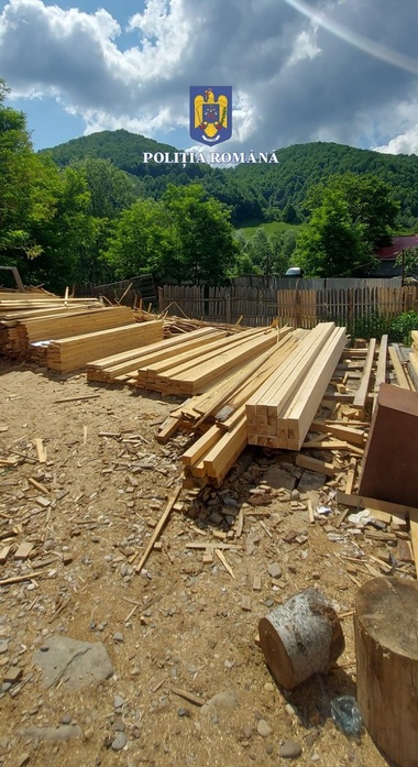 Buzău - Trei bărbaţi cu vârste între 26 şi 50 de ani din comuna Lopătari, reţinuţi pentru 24 de ore pentru tăiere fără drept de arbori, furt de arbori şi fals informatic
