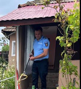 Mehedinţi: Jandarmii au intervenit pentru îndepărtarea unui şarpe ascuns într-o locuinţă, în spatele maşinii de spălat / 17 astfel de intervenţii de la începutul anului 