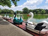 Doi tineri au rupt sistemele de ancorare ale unor hidrobiciclete care vor fi puse în funcţiune într-un parc din Ploieşti şi au plecat cu acestea pe lac - FOTO

