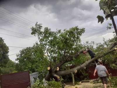 Mii de consumatori fără curent electric şi drumuri blocate de copaci doborâţi de furtună, în mai multe localităţi ale judeţelor Neamţ şi Bacău - FOTO