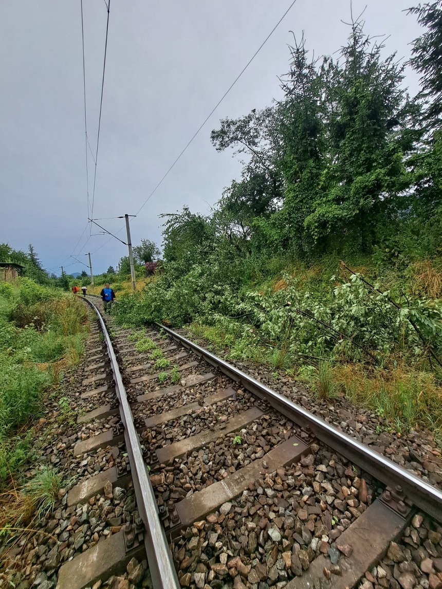 UPDATE - Bistriţa Năsăud: Trei trenuri, blocate după ce un copac rupt de vijelie a căzut pe calea ferată, între Beclean pe Someş şi Sărăţel - FOTO
