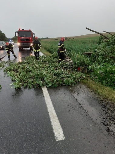 Intervenţii ale pompierilor în judeţele Cluj, Bistriţa-Năsăud, Suceava, Neamţ, Harghita unde vântul puternic a smuls acoperişuri şi a doborât arbori şi stâlpi care susţin reţeaua de alimentare cu energie electrică - FOTO
