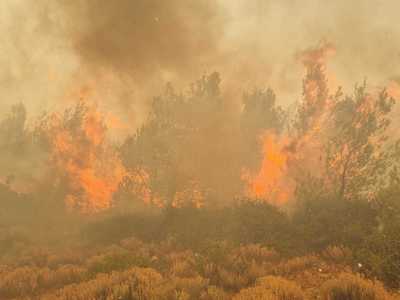 Pompierii români din Grecia intervin pentru stingerea unui incendiu de vegetaţie uscată şi pădure, la nord-vest de Atena - FOTO