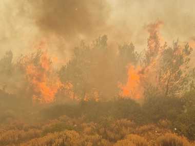 Pompierii români din Grecia intervin pentru stingerea unui incendiu de vegetaţie uscată şi pădure, la nord-vest de Atena - FOTO