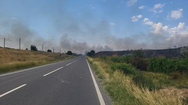 Incendiu de vegetaţie la Poarta Albă/ Trei trenuri de călători au fost oprite la solicitarea pompierilor pentru a stinge focul - FOTO, VIDEO
