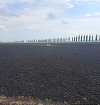 Neamţ: Lan de grâu distrus pe o suprafaţă de opt hectare din cauza unui incendiu
