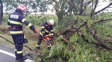 UPDATE - Bihor: Persoană rănită, după ce o fereastră s-a spart în timpul furtunii / Zeci de intervenţii ale pompierilor pentru îndepărtarea copacilor căzuţi / Acoperişul Bibliotecii Universităţii, smuls de vânt - FOTO / VIDEO