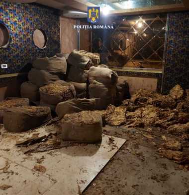 Nouă persoane, reţinute de poliţiştii din Prahova după ce ar fi vândut tutun de fumat, cauzând un prejudiciu de 1,5 milioane de lei bugetului de stat