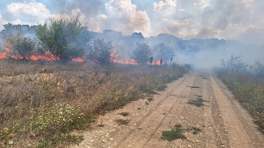 Incendiu de vegetaţie uscată în zona de nord a Capitalei / Sunt afectate aproximativ 30 de hectare de teren / Există risc de extindere - FOTO