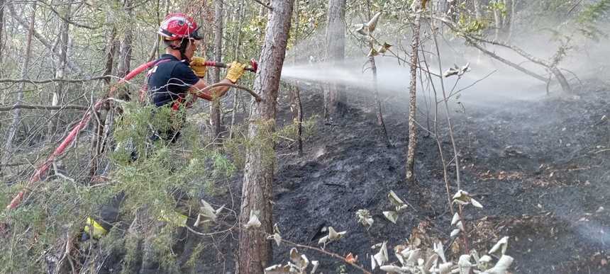 IGSU: Continuă misiunea pompierilor dislocaţi în Franţa, pentru limitarea incendiului din apropierte de Chanousse/ În Grecia, pompierii români intervin la un incendiu care ameninţă localitatea Leptokarya, Evros - FOTO