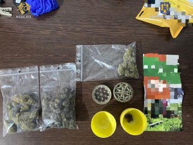 Constanţa: Doi bărbaţi, reţinuţi pentru înfiinţarea unei culturi de cannabis şi comercializarea de droguri de risc şi mare risc, în schimbul unor sume cuprinse între 500 şi 1.000 de lei
