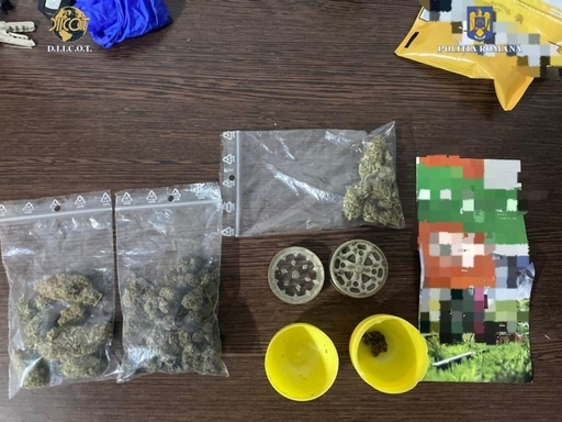 Constanţa: Doi bărbaţi, reţinuţi pentru înfiinţarea unei culturi de cannabis şi comercializarea de droguri de risc şi mare risc, în schimbul unor sume cuprinse între 500 şi 1.000 de lei
